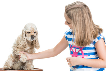 Pretty smiling girl with american spaniel posing in studio