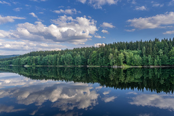 Fototapeta premium forest lake with blue sky and clouds