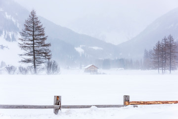 In the storm. Winter Chills in Riva di Tures. Italy