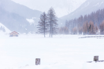 In the storm. Winter Chills in Riva di Tures. Italy