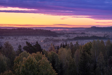 Scenic colorful sunrise view with wetland landscape against pink sky at autumn morning in Torronsuo, Finland