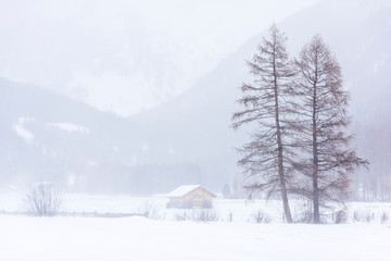 Fototapeta na wymiar In the storm. Winter Chills in Riva di Tures. Italy