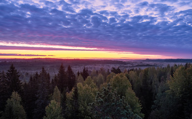 Scenic colorful sunrise view with wetland landscape against pink sky at autumn morning in Torronsuo, Finland