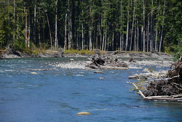 Olympic National Park, Washington
