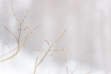In the storm. Winter Chills in Riva di Tures. Italy