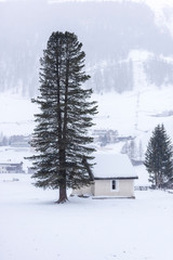 In the storm. Winter Chills in Riva di Tures. Italy