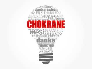 Chokrane (Thank You in Arabic - Middle East, North Africa) light bulb word cloud in different languages