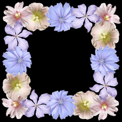 Beautiful floral pattern of chicory, clematis and mallow. Isolated