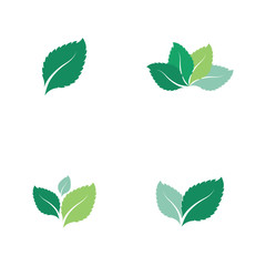 Set of Mint leaves flat vector color icon