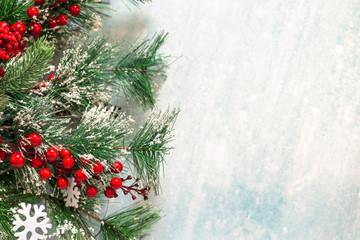 Naklejka na ściany i meble snow-covered Christmas fir branches on a blue background