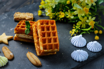 Near the spread of snow little meringue On graphite colors of flat stone meringue tiles there are shaped cookies