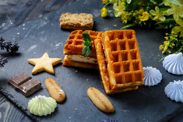 Near the spread of snow little meringue On graphite colors of flat stone meringue tiles there are shaped cookies