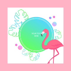  Banner with Flamingo, Graphic Background, Flyer or Card.