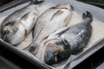 Gilthead breams cooked in salt. Baked fish (doradas).