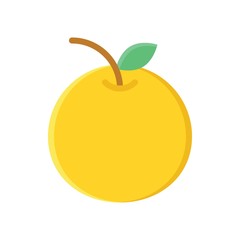 china new year related orange fruit vector in flat design