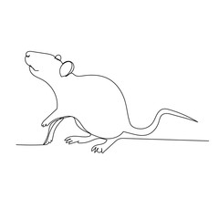 vector, isolated, drawing with one continuous line rat, mouse, sketch