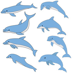 vector, isolated, blue dolphin swims set