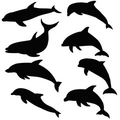 vector, isolated, silhouette dolphin swims set