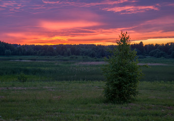 Summer colorful landscape - sunset and river