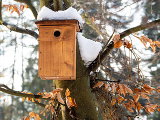 Bird house on tree in winter