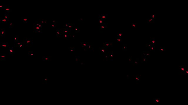 Red rose petals smoothly fly from left to right. Element cg composite. Alpha Channel.