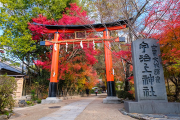 京都 宇治上神社 秋
