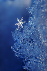 Snowflakes close-up. Macro photo. The concept of winter, cold, beauty of nature. Copy space..