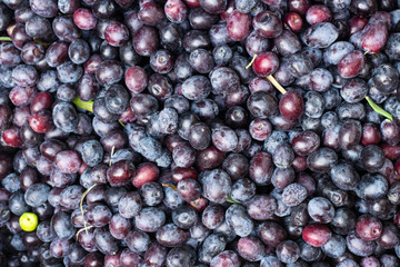 Bunch of fresh black olives.
