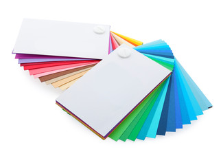 Color palettes isolated on white. Professional samples