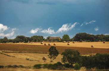 Field in Spain with round straw bales