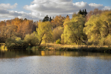 Fototapeta premium Bank of Desna river near Troitsk town - Troitsky administrative okrug of federal city of Moscow. Russia