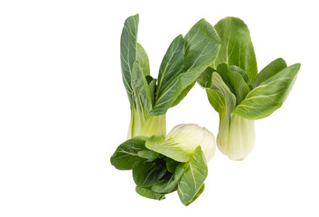 Pak choi isolated on a white bakcground