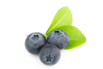 blueberries isolated on white background