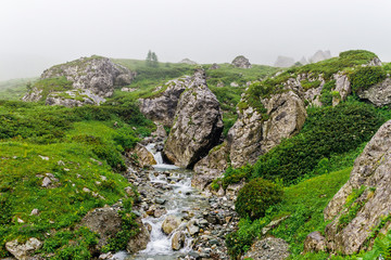 mountain stream flows over stones in a green valley