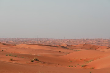 Fototapeta na wymiar Arab desert - gold sand
