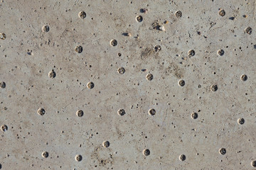 Asbestos slate texture concrete covered with lichen and moss