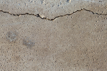 Asbestos slate texture concrete covered with lichen and moss