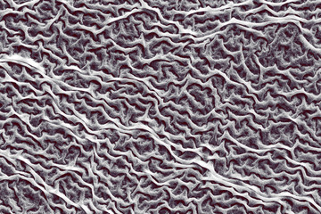 Macro, texture of mold on a liquid surface