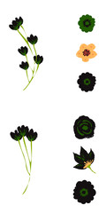 Tropical flowers set. Vector design isolated elements on the white background.
