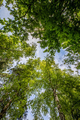 Obraz premium parc georges brassens