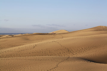 Duenen_Maspalomas