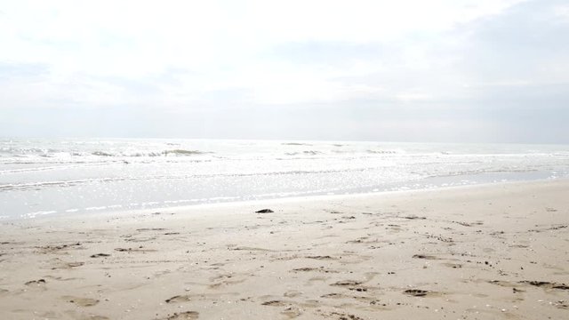 Empty summer beach. Brussa beach, Caorle, Italy