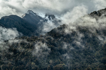 Franz Josef, New Zealand