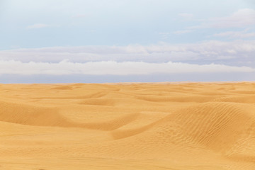 Fototapeta na wymiar Beautiful deserted landscape of yellow sand of Tunisian Sahara desert and cloudy blue sky. Horizontal color photography.