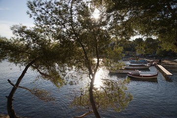A lake surrounded with trees and a few boats by the jetty with two trees in the foreground