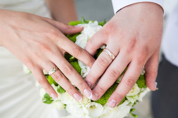 Obraz na płótnie Canvas Groom and bride holding hands with wedding rings