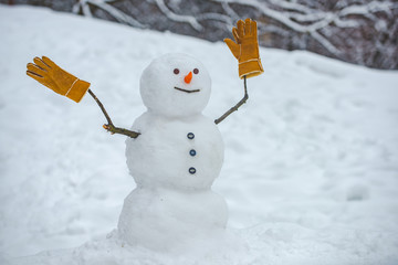 Funny snowman with a carrot instead of a nose and in a warm knitted hat on a snowy meadow on a...