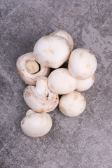 Champignons on a grey structured background