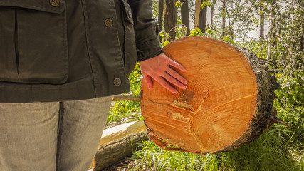 A woman touches the stump of a cut tree