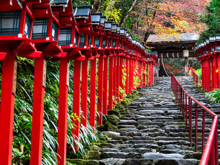 秋の京都　貴船神社	